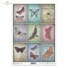 Motyl, ćma, ćmy, ornamenty, dekor, tło, list, ręczne pismo, kompozycje retro, urokliwe tła, retro, vintage, R537, butterfly, moth, ornaments, decor, background, letter, handwriting, retro compositions, charming backgrounds, retro, vintage, Schmetterling, 